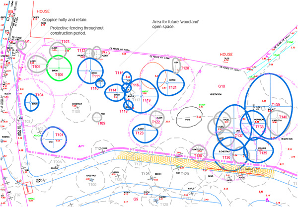 Pre-development arboricultural survey – Wisbech